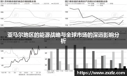 亚马尔地区的能源战略与全球市场的深远影响分析
